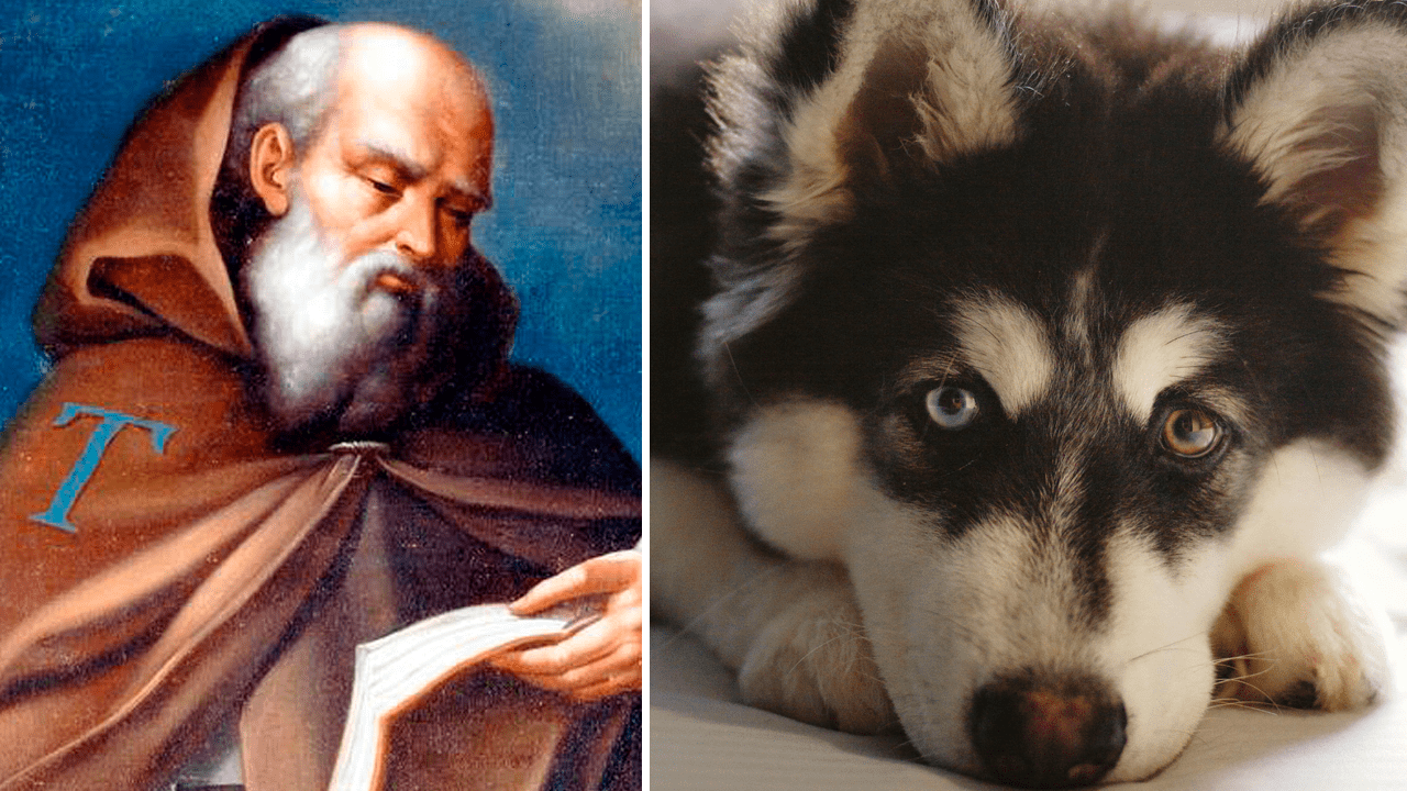 17 de enero: Fieles de la Iglesia Católica Bendicen a sus Animales en la Festividad de San Antonio Abad