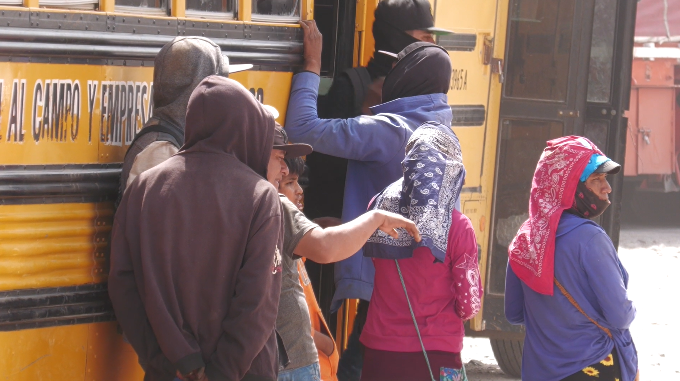 Jornaleros Agrícolas sin Votar por falta de Casillas Especiales en Río Florido