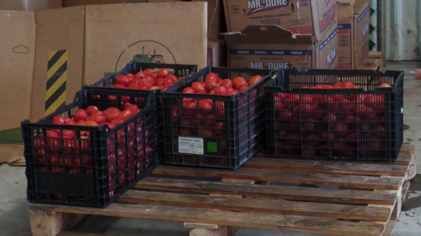 Banco de Alimentos de Fresnillo atraviesa su etapa más crítica por baja en acopio