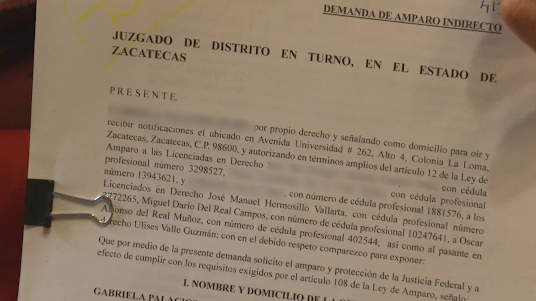 Ciudadanos y expertos legales unen fuerzas para frenar el viaducto elevado en Zacatecas