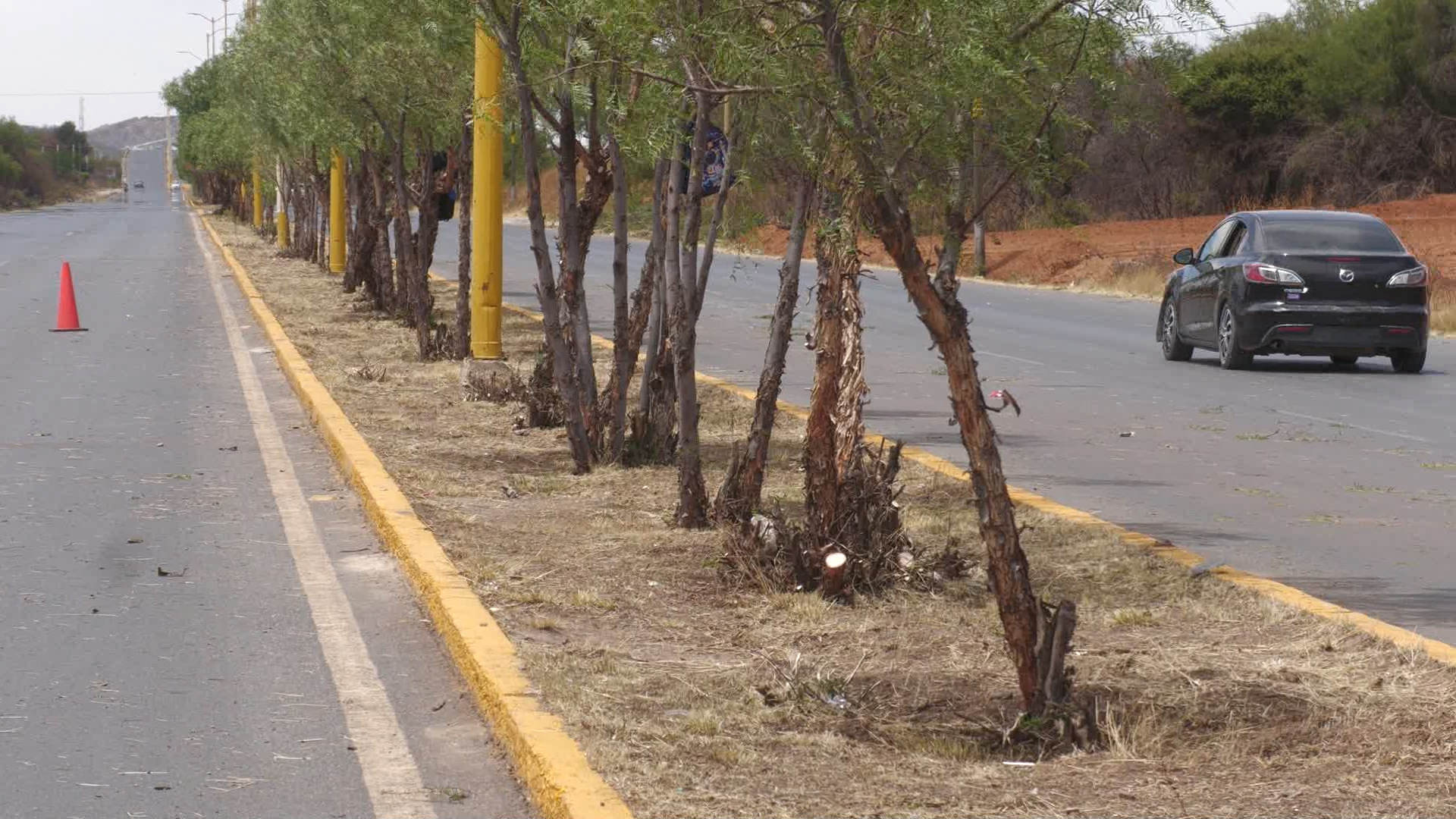 Parques y Jardines de Fresnillo refuerza acciones para recuperar áreas verdes
