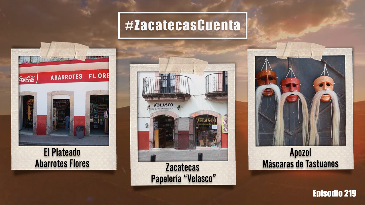 ZCE219: Máscaras, papelería y abarrotes 