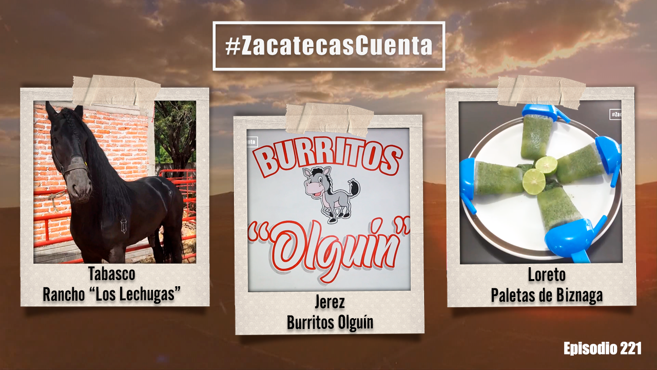 ZCE221: Rancho, burritos y paletas 